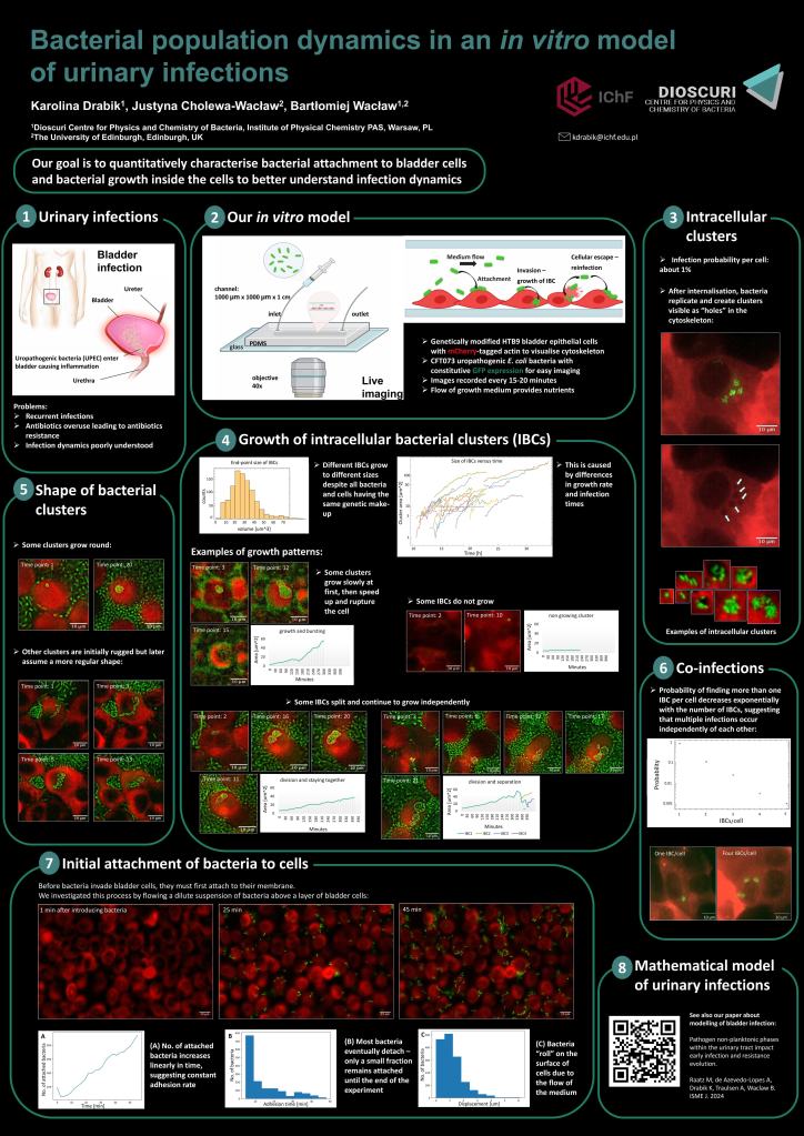 🌟 Celebrating Achievement!&nbsp;🌟