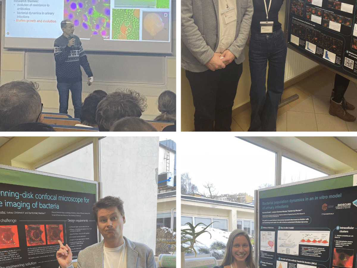 Dioscuri Centre’s Contributions to the IChF&nbsp;Micro-symposium